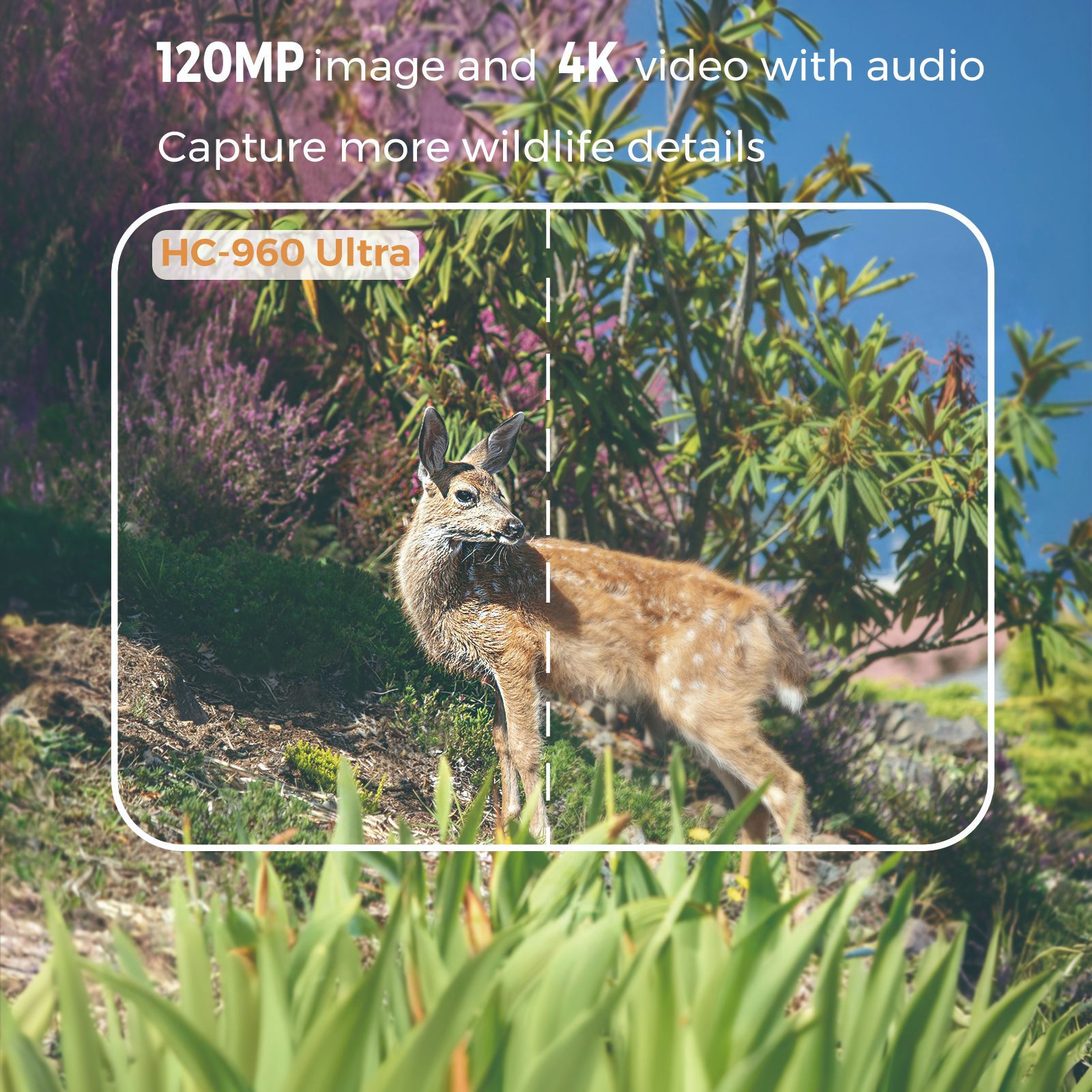 야외 4K 비디오 120MP 사진 4G 앱 전화 야생동 - Outdoor Hunting Videos 리뷰 및 가격